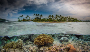 Wakatobi split by Steven Miller 
